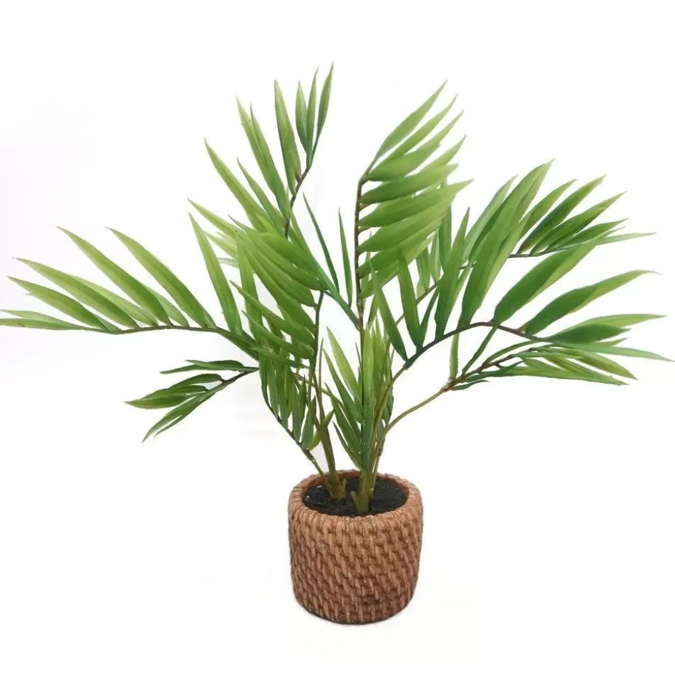 RETIF Areca-Palme Im Keramiktopf Mit Rohrgeflecht-Effekt H 35 Cm