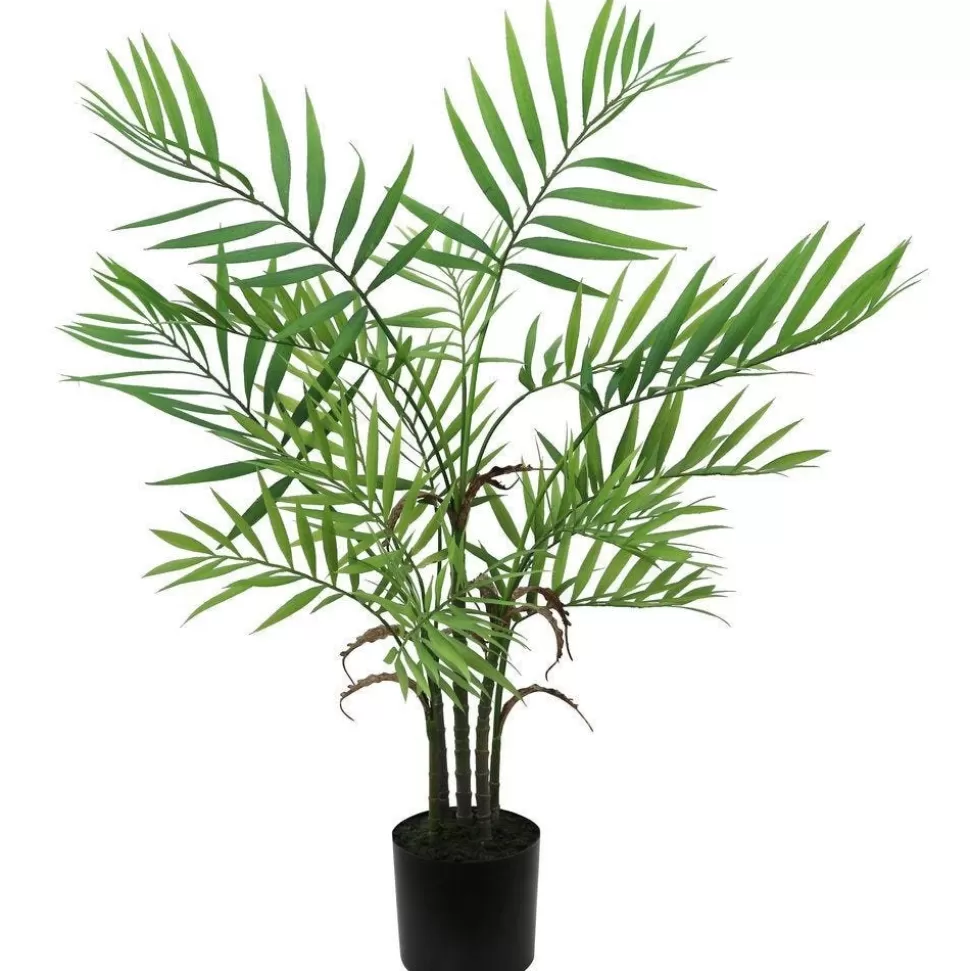 RETIF Areca-Palme Im Plastiktopf H 76 Cm