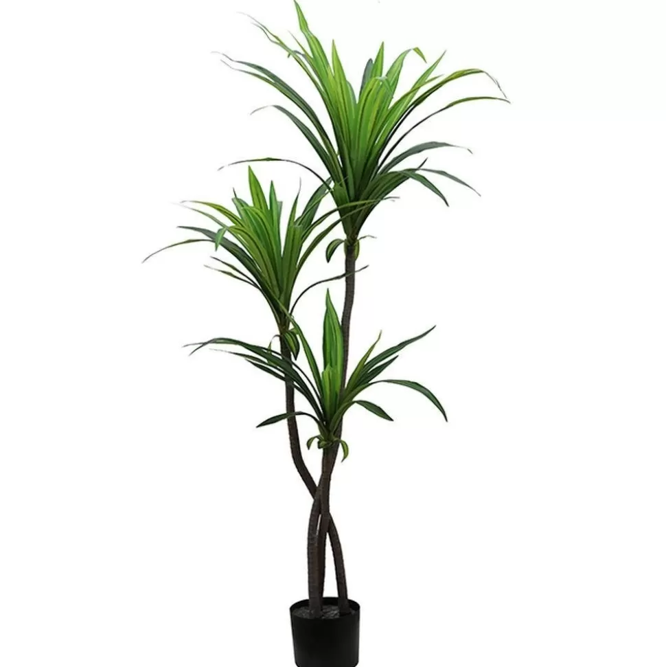 RETIF Dracena Im Topf H 130 Cm