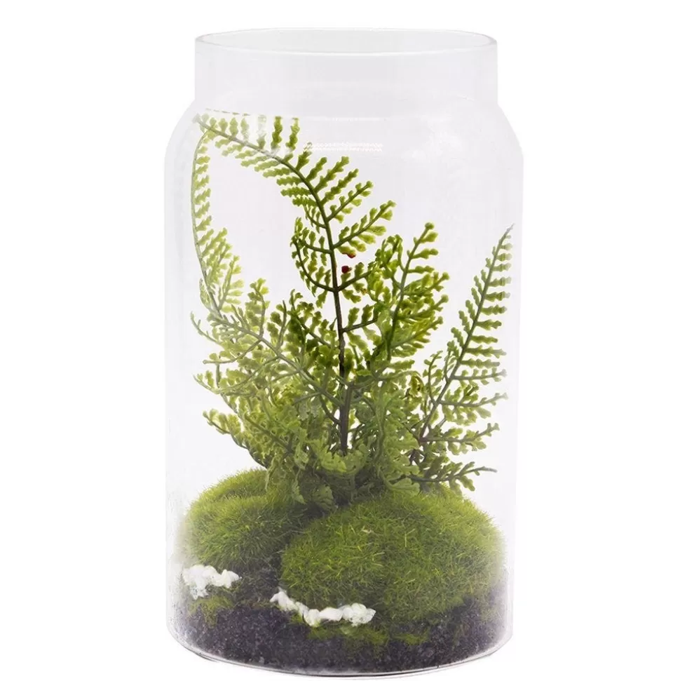 RETIF Farn-Terrarium H 19 Cm