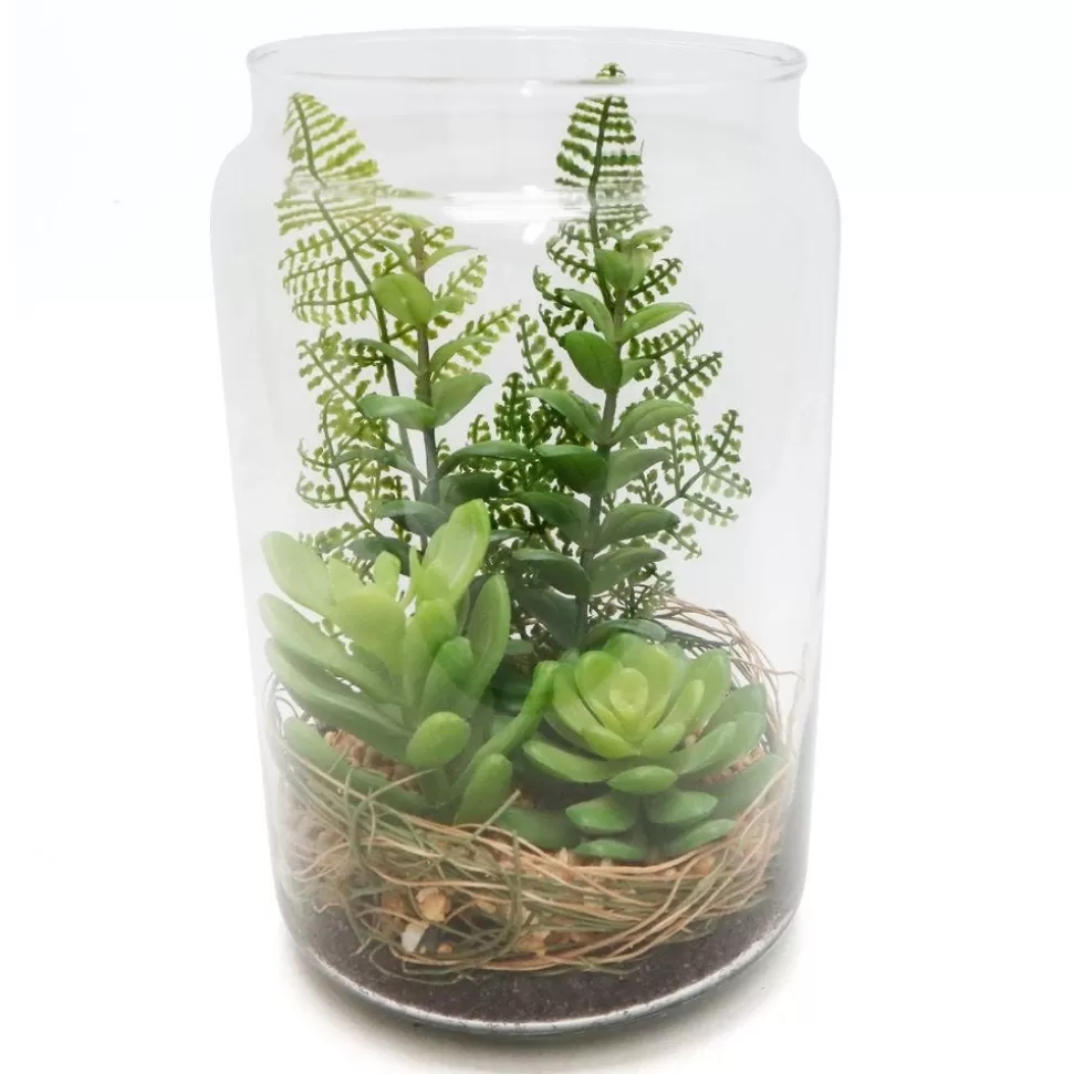 RETIF Sukkulenten-Terrarium H 20 Cm